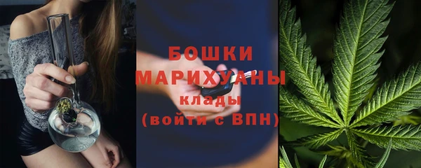 индика Бронницы