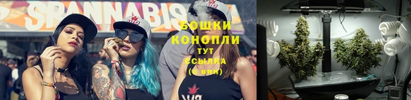 спайс Богородск