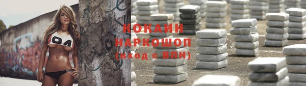 индика Бронницы
