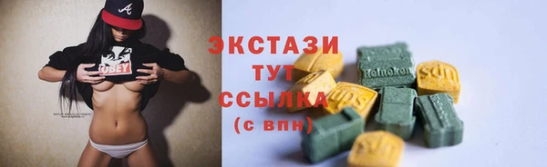 индика Бронницы