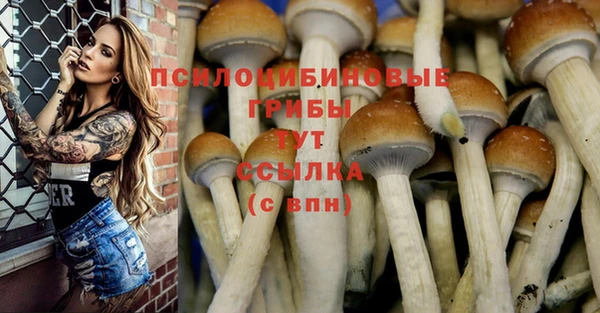 меф VHQ Горнозаводск