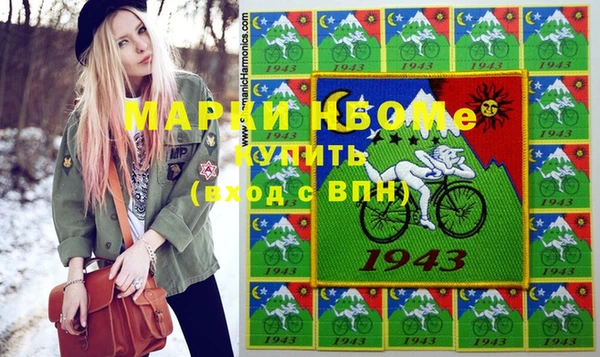 индика Бронницы