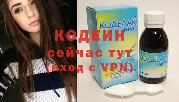 индика Бронницы